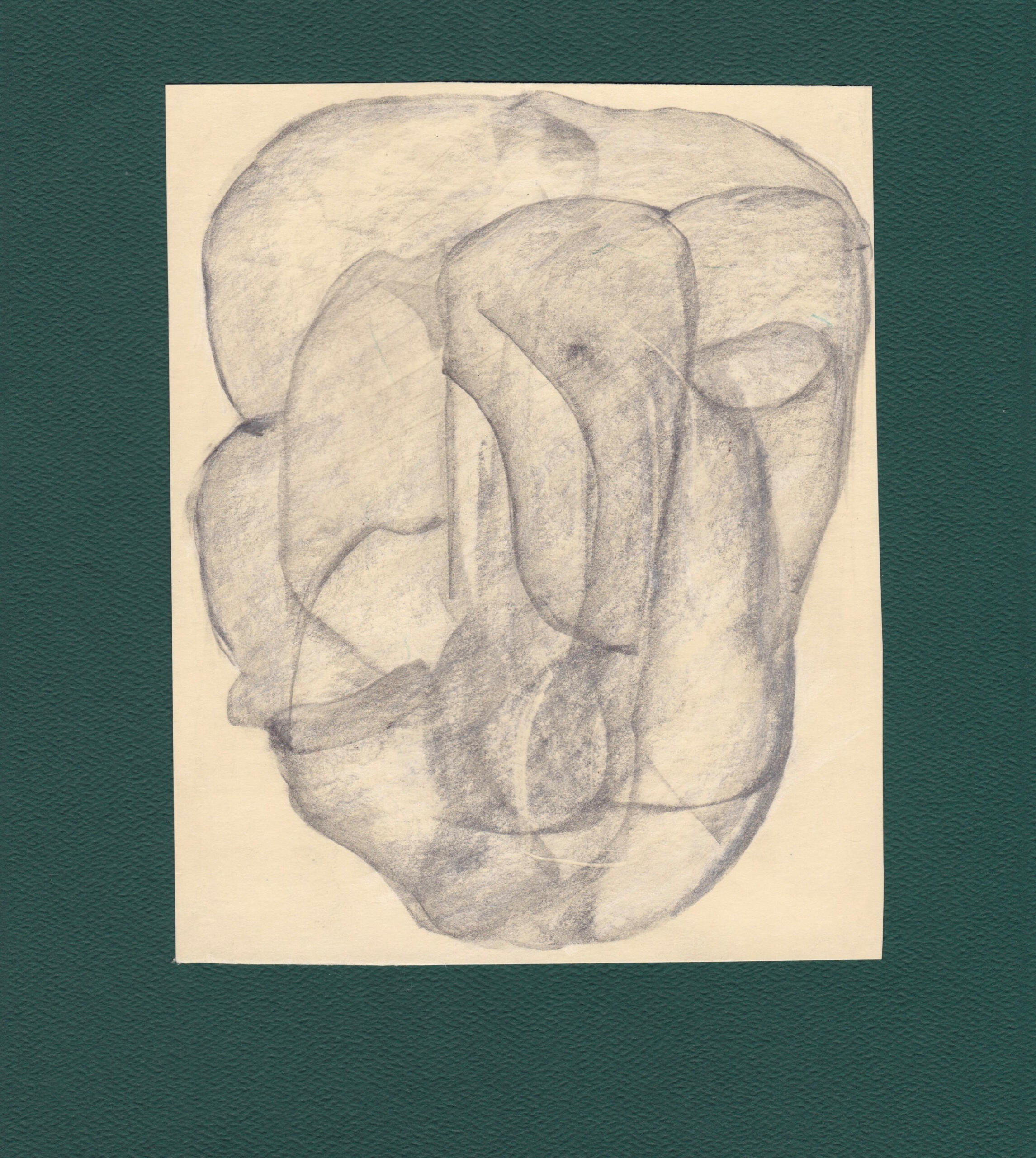 "Neglected by Evolution . Homo Echoflutus. Graphite and wax on manila paper. 2024.