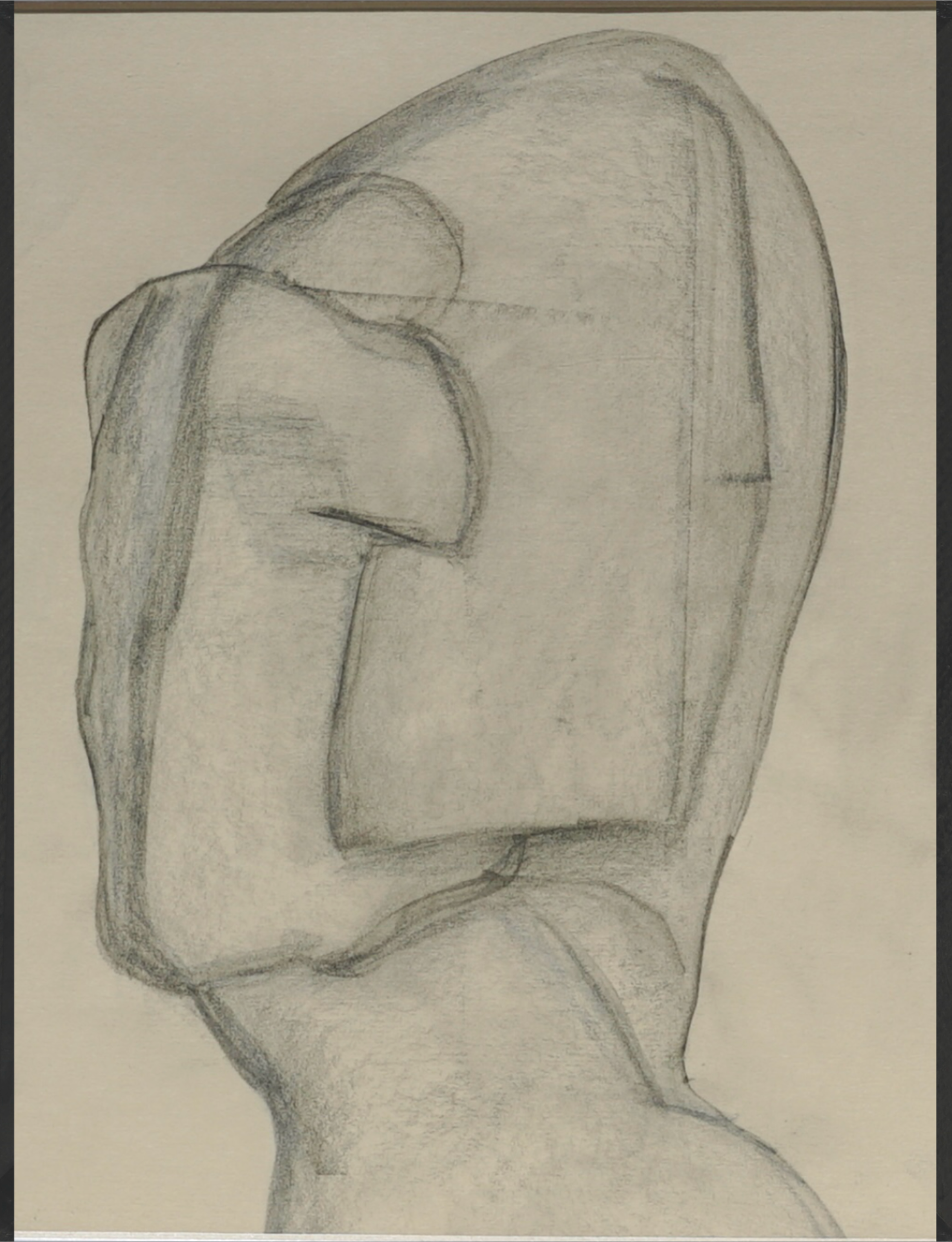 "Neglected by Evolution. Homo Galea." Graphite and wax on manila paper. 2024.